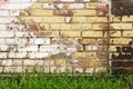 Old wall and fresh grass Royalty Free Stock Photo