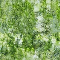 Old wall in the green mold - weathered seamless texture Royalty Free Stock Photo
