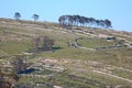 Old wall limestones