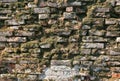 Old wall with a lot of moss and lichens due to the high humidity