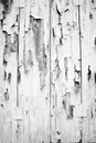 Old wall painting white Royalty Free Stock Photo