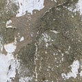 Old wall with peeling whitewash and cracks. Abstract textural background. Royalty Free Stock Photo