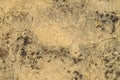 Old wall plastered with mud closeup Royalty Free Stock Photo