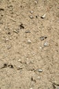 Old wall plastered with mud closeup Royalty Free Stock Photo