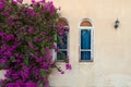 Old wall with two windows and bushes with purple flower creeper