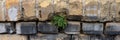 Old wall. Weeds between the stones. Panorama Royalty Free Stock Photo