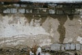 Old wall wet from melting snow