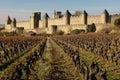 Old walled citadel and vinyards. Carcassonne. France