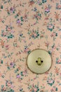 Old wallpaper with light switch Royalty Free Stock Photo
