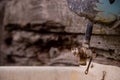 An old washbasin and a water tap Royalty Free Stock Photo