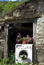 Old washing machine used as a planter