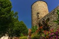 An old watchtower with flowers below Royalty Free Stock Photo