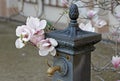 Old water crane with blooming magnolia tree Royalty Free Stock Photo