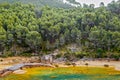 Old water mill on the colorful river Odiel with pine forest in Huelva, Andalucia, Spain