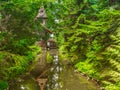 Old water mill in the forest