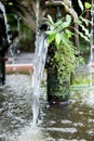 Old water pump with many moss, focus selective Royalty Free Stock Photo