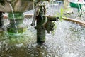 Old water pump with many moss, focus selective Royalty Free Stock Photo