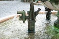 Old water pump with many moss, focus selective Royalty Free Stock Photo