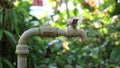 Old water tab on the garden with green tree blur background Royalty Free Stock Photo