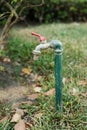 Old water tap in the garden Royalty Free Stock Photo