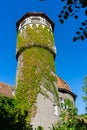 Kaliningrad, Russia. Beautiful overgrown water tower Raushen. Royalty Free Stock Photo