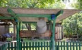 An old water well with a bucket in the garden, a metal handle for lifting water from the ground. Village well under the roof with Royalty Free Stock Photo