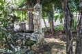 Old water well built of stone in the middle of the rainforest. Royalty Free Stock Photo