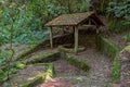 Old water well in the middle of the forest Royalty Free Stock Photo