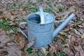 Old watering can in autumn leaves