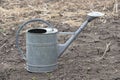 Old watering still iron can in garden on the ground. Simple vessel for drip irrigation of plants. Body, handle, spout and diffuser