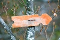 Old waymarker on a trunk in the wood