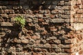 Old house brick wall Royalty Free Stock Photo