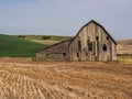 Old weathered barn surrounded by wheat fields Royalty Free Stock Photo