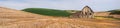 Old weathered barn surrounded by wheat fields Royalty Free Stock Photo