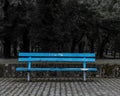 Old weathered blue bench in a park with trees in a greyscale background Royalty Free Stock Photo
