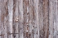 Old blue painted wood wall background texture