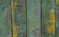 Old weathered boards, with peeling green paint burnt out in the sun, with yellow moss, streaks and spots Royalty Free Stock Photo