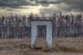 Old weathered brick entrance in an old stone wall which is now completely destroyed. Old late autumn forest and dark cloudy sky