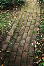 Old and weathered brick footpath with overgrown moss