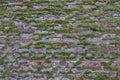 Old weathered brick wall with moss growing Royalty Free Stock Photo