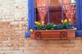 Old, weathered brick wall with window box full of pretty daffodils and easter decorations Royalty Free Stock Photo