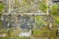 Old weathered cinder block and brick wall and moss background texture. Close-up, noisy background, greenhouse Royalty Free Stock Photo