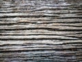 Old Weathered coarse Wood Texture background