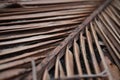 Old weathered coconut leaf roof of hut. Dried banana palm leaves background. Dried palm leaves texture. Close up organic gray palm Royalty Free Stock Photo