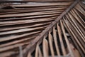 Old weathered coconut leaf roof of hut. Dried banana palm leaves background. Dried palm leaves texture. Close up organic gray palm Royalty Free Stock Photo