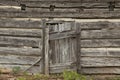 Old weathered door on an antique derelict log cabin wall Royalty Free Stock Photo