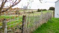 Old Farm Fence