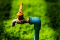 Old and weathered garden`s faucet water tap in beautiful sunlight with green grass in background