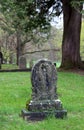 Intricate design of various headstones weathered with age and elements, saratoga Monument and Victory Woods, New York, 2019