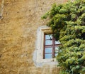 Old weathered house wall made of natural stone with a window with small-scale frame, half of which is overgrown by a climbing Royalty Free Stock Photo